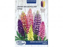 ����� ������ (����) 4� (10 �����) ����Ѳ��� �������