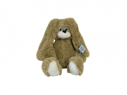 ���� ������� ����� Ѻ�� 40�� ���� (�) ����� ����