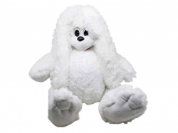 ���� ������� ����� Ѻ�� 40�� ���� (�) ����� ����