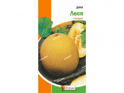 ���� ���� (20 �����) 2� ���������