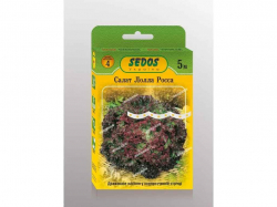 ����� �� ������ ����� ����� (5 �����) 5� ��SEDOS