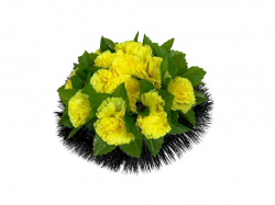 ������� ���������� 35�35�� �������� ��MEMORI