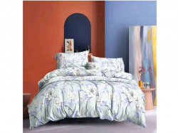 �������� �������� ������ 2-� �� ���.2234� �������� ������