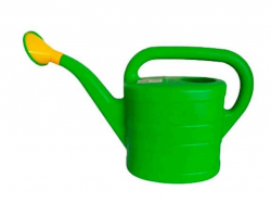 ��������� 5� ������ ����������� ����-�����