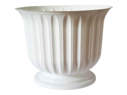 ������ ��� ���� �� ����� 14� ˳��� 36 29�� d=36 ���.Lil 36 ���� ����-�����