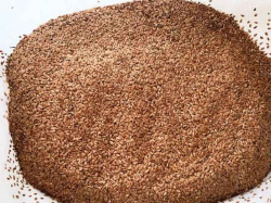 ���� (� ����) 25�� ����Ѳ��� �������