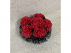 ������� �������� ����� 30�30�� ��������� ��Memori