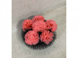 ������� �������� ����� 30�30�� ������� ��Memori