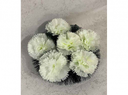 ������� �������� ����� 30�30�� ������� ��Memori