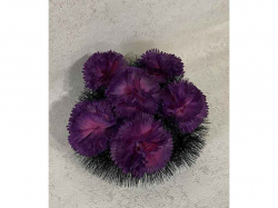 ������� �������� ����� 30�30�� �������� ������ ��Memori