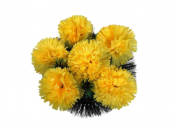 ������� �������� ����� 30�30�� ������ ��Memori