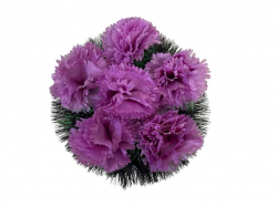 ������� �������� ����� 30�30�� �������� ��Memori