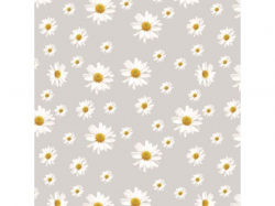 �������� 1,35 � 30� �� ��������� ����� E555-1 ��DARIANA