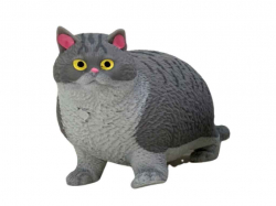 ��� ��� ��������� ���� CKS-10754 ��MONSTERGUM