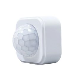 ������ ���� Tuya Zigbee Motion Sensor