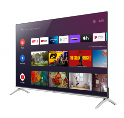 �������� Ergo 43GUS8555 - �������� 3