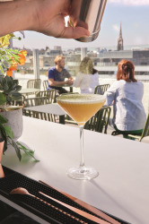 � ����� ������� C&S Symetrie 6�210 �� (V1171/1) - �������� 5