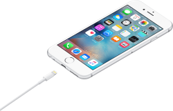  Apple USB-C to Lightning Cable (1m) (MUQ93ZM/A) -  2