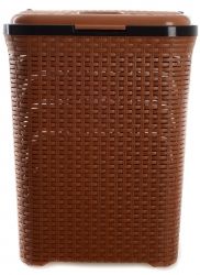    Violet House 0726  BEIGE 55   (0726  BEIGE / 55 )