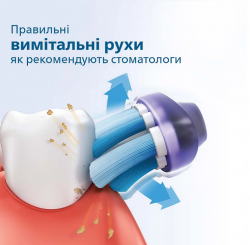 ������ ������������ Philips HX3673/11 Sonicare Rose - �������� 3