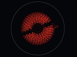 ���������� �������� �������� Electrolux EHF6241FOK  (949492104) - �������� 2