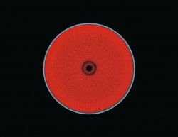 ���������� �������� �������� Electrolux EHF6241FOK  (949492104) - �������� 5