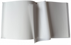  EVG 20sheet T29x32 Tradition Whine -  2