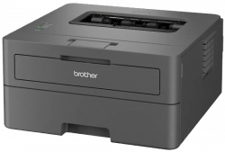 ������� Brother HLL2402DYJ1 - �������� 2