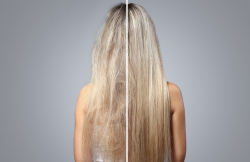 ��� Sencor SHD 8600BK  (41024580) - �������� 3