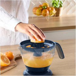 Соковыжималка Tefal ZP2M04E0 - Картинка 12