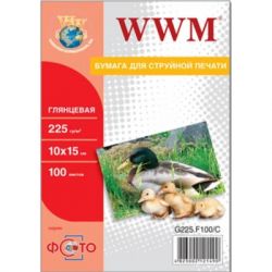  WWM 10x15 (G225.F100/ G225.F100/)