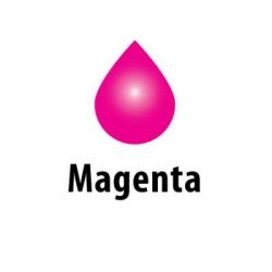 ������� ColorWay Epson T50/59, P50, TX650/700/800, PX660/700, R270/390, Magenta, 200 �� (CW-EW650M02) - �������� 2