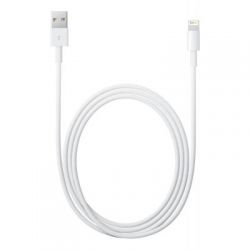   USB 2.0 AM to Lightning 2.0m Apple (MD819ZM/A)