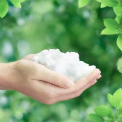 ������������� ��������� Naturella Classic Maxi 8 �� (4015400317999) - �������� 4