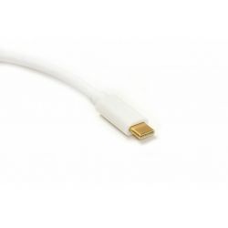 ���������� USB Type C to VGA PowerPlant (DV00DV4064) - �������� 3
