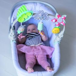 Дуга для коляски Taf Toys Тропический оркестр (12135) - Картинка 5