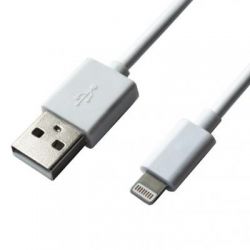   USB 2.0 AM to Lightning 1.0m Cu, 2.1 White Grand-X (PL01W) -  1