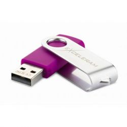 USB   eXceleram 32GB P1 Series Silver/Purple USB 2.0 (EXP1U2SIPU32) -  2