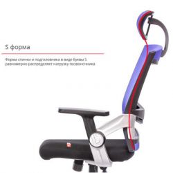 ������� ������ ����� ����� PL HR ANF ����� (08173) - �������� 7