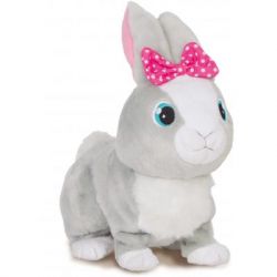 ������������ ������� IMC ������ ���� (95861)