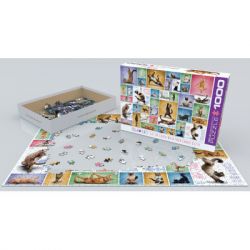 Пазл Eurographics Йога Кішки 1000 елементів (6000-0953) - Картинка 2