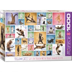 ���� Eurographics ���� ʳ��� 1000 �������� (6000-0953)