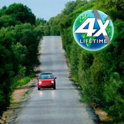 ��������� Philips P21W LongLife EcoVision, 2��/��. (12498LLECOB2) - �������� 4