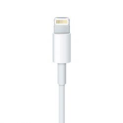   Apple Lightning to USB Cable, Model A1480, 1m (MXLY2ZM/A) -  2