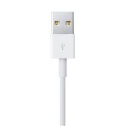   Apple Lightning to USB Cable, Model A1480, 1m (MXLY2ZM/A) -  3