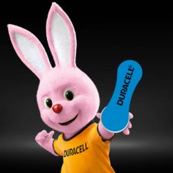 ��������� Duracell PR44 / 675 * 6 (5004326) - �������� 3
