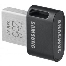 USB ���� ���������� Samsung 256GB FIT PLUS USB 3.1 (MUF-256AB/APC) - �������� 3