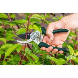 ������� Verto ������������� 220 �� (15G204) - �������� 2