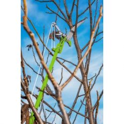 ������� Verto ��������� � ������ (15G260) - �������� 2