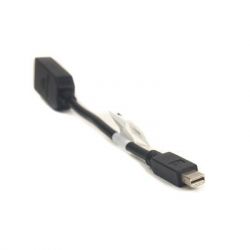  mini DisplayPort (Thunderbolt) M  DisplayPort F 0.2m PowerPlant (CA910472) -  2